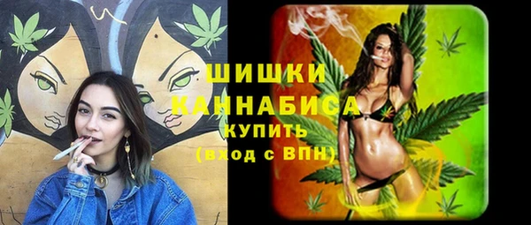 гашик Сафоново