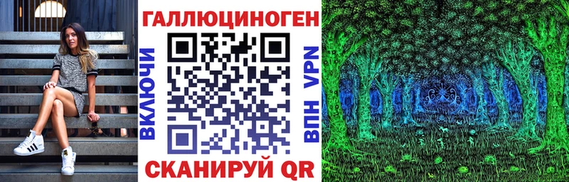 где купить   Буйнакск  Галлюциногенные грибы Psilocybine cubensis 